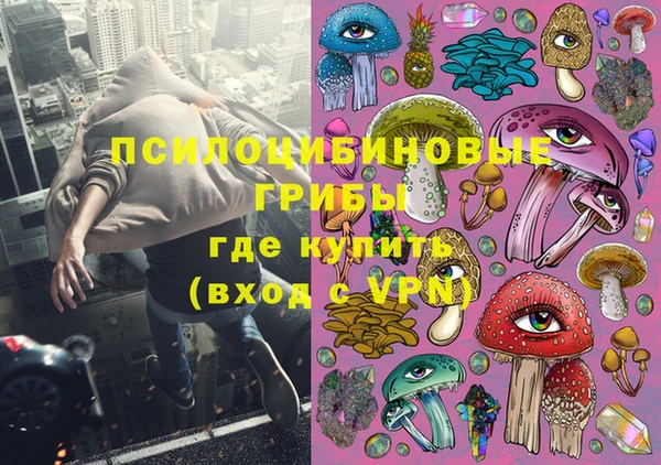 молекула духа Балахна