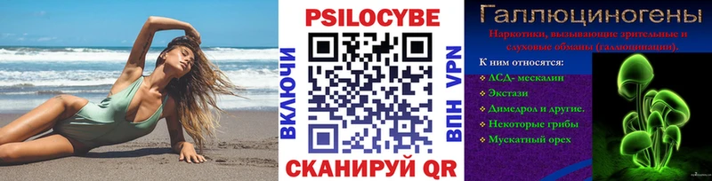 Купить закладки  Туринск  Псилоцибиновые грибы прущие грибы 